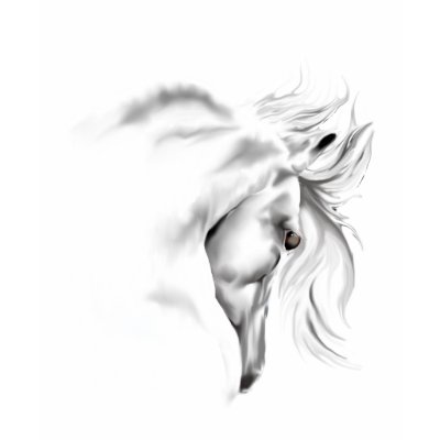Whte Horse Head  T-Shirt by Lotacats