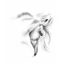 Whte Horse Head T-Shirt by Lotacats Whte Horse Head T-Shirt