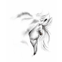Whte Horse Head  T-Shirt