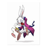 Whtie Rabbit Postcard