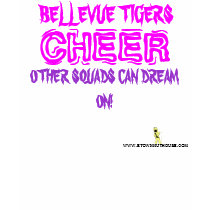 WHTNED, CHEER, BELLEVUE TIGERS, OTHER SQUADS CA... t-shirts
