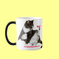 Whut? Cat Mug mugs