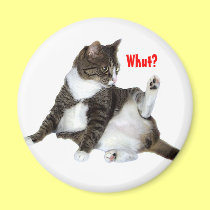 Whut? Magnet magnets
