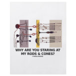 Why Are You Staring At My Rods &amp; Cones? Full Color Flyer