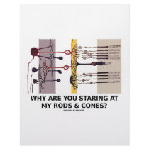 Why Are You Staring At My Rods & Cones? Custom Letterhead