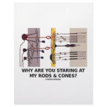 Why Are You Staring At My Rods &amp; Cones? Custom Letterhead