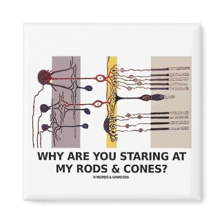 Why Are You Staring At My Rods & Cones? magnet