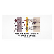 Why Are You Staring At My Rods & Cones? Picture Card