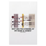 Why Are You Staring At My Rods &amp; Cones? Stationery Design