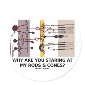 Why Are You Staring At My Rods & Cones? sticker