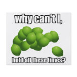 Why Can't I Hold All These Limes? flyers