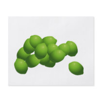 Why Can't I Hold All These Limes? Flyers