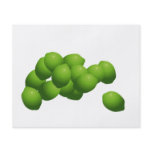 Why Can't I Hold All These Limes? flyers