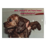 WHY COULDN'T WE HAVE BEEN PRESBYTERIANS? GREETING CARDS