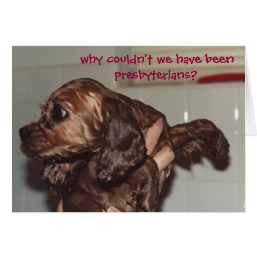 WHY COULDN'T WE HAVE BEEN PRESBYTERIANS? GREETING CARDS
