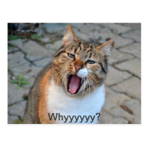 why? Customized Postcard