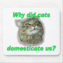 Why did cats domesticate us?