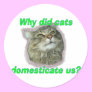 Why did cats domesticate us?
