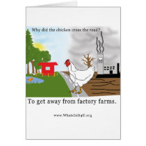 Why Did the Chicken Card