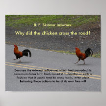 Why Did The Chicken Cross? - (small) poster