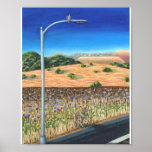 why did the coyote cross the road? print