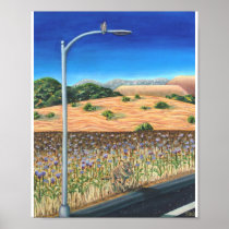 why did the coyote cross the road? print