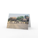Why did the elephant cross the road? (2) cards