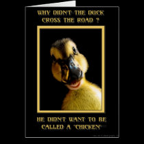 Why didn't the duck cross the road cards