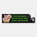 why do you eat animals bumper stickers
