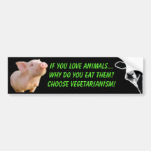 why do you eat animals bumper stickers