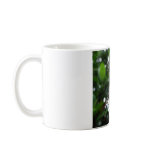 Why Don't People Like Me?? mugs