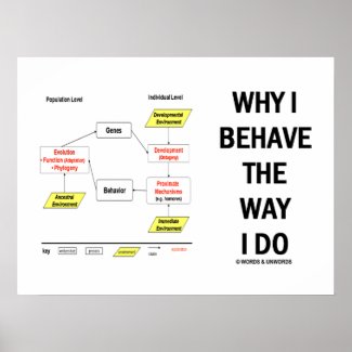 Why I Behave The Way I Do Chart Diagram Print