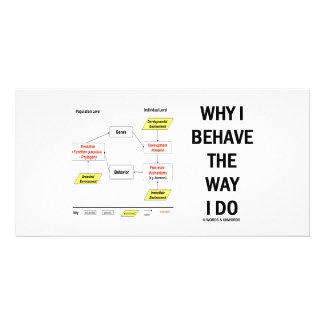 Why I Behave The Way I Do (Sociobiology) photocard