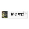 WHY ME? bumper stickers