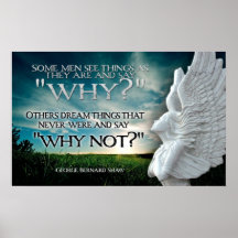 WHY? Motivational Poster Print