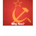 Why Not? t-shirts