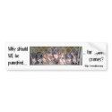 Why punish the Dogs? bumper stickers