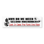 Why The Second Amendment?