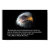war, patriotic, eagle, motivation, freedom,