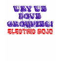 WHY WE LOVE GROUPIES t-shirts