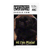 Why You Dog! postage by jobannon Why You Dog! postage