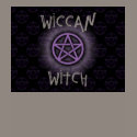 Wiccan Witch t-shirts