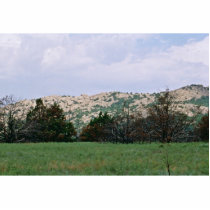 Wichita Mountains National Wildlife Refuge photo sculptures