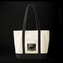 Wicked Night bags