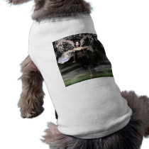 Wicked Night pet clothing