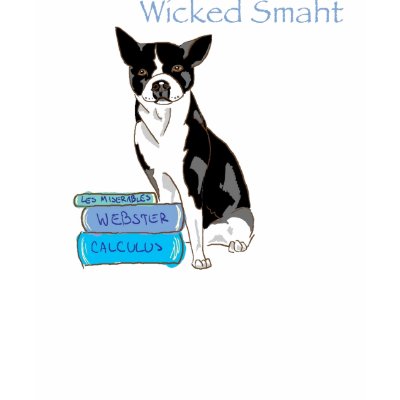 Wicked Smaht T Shirt by Nevaljalac
