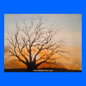 WICKED TREE posters