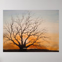 WICKED TREE posters