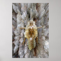 Wicken - O Print