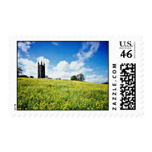 Wide comb buttercup flowers, Devon, England  flowe Stamps